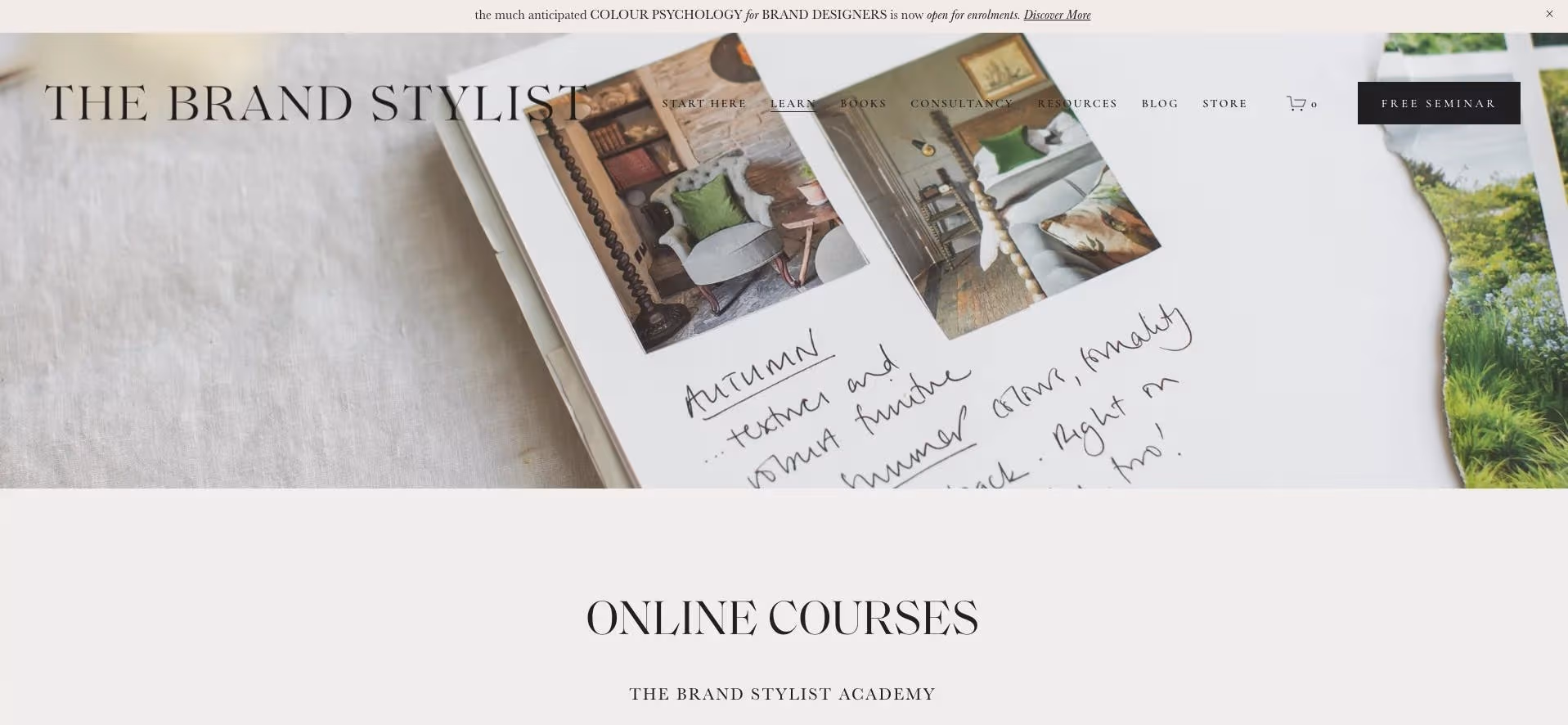 A screenshot from The Brand Stylist's Thinkific website.